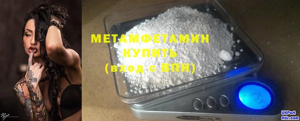прущие грибы Сафоново