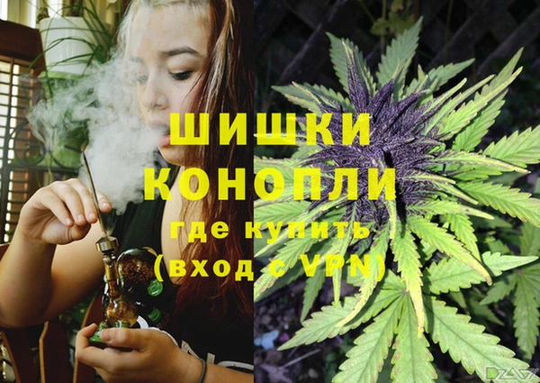 дживик Ростов