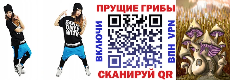 Купить где  Зеленодольск  Галлюциногенные грибы Psilocybe 